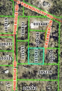 Wooded Lot in Lacombe, Louisiana