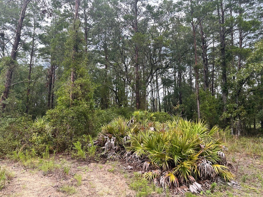 Picture 5