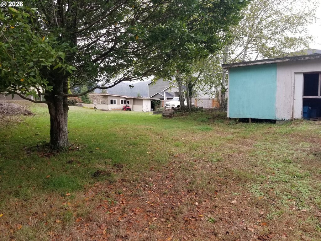 Picture 4
