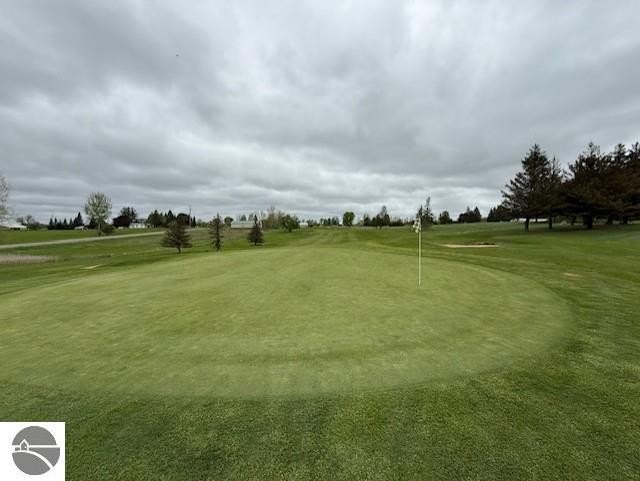 Picture 13