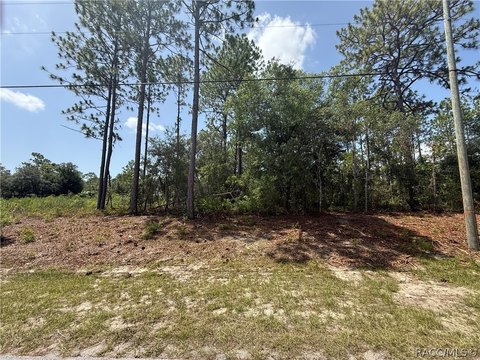 LAND - Citrus Springs, FL