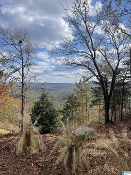 LAND - VANDIVER, AL