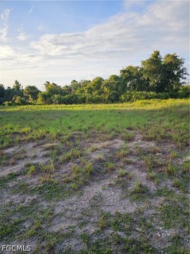 Lehigh Acres Land Opportunity