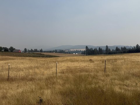 Wooded Acreage Tree Farm Land