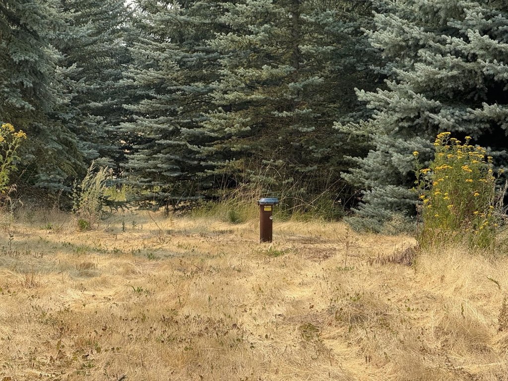 Picture 6