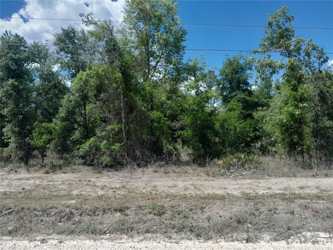Land, WILLISTON, FL