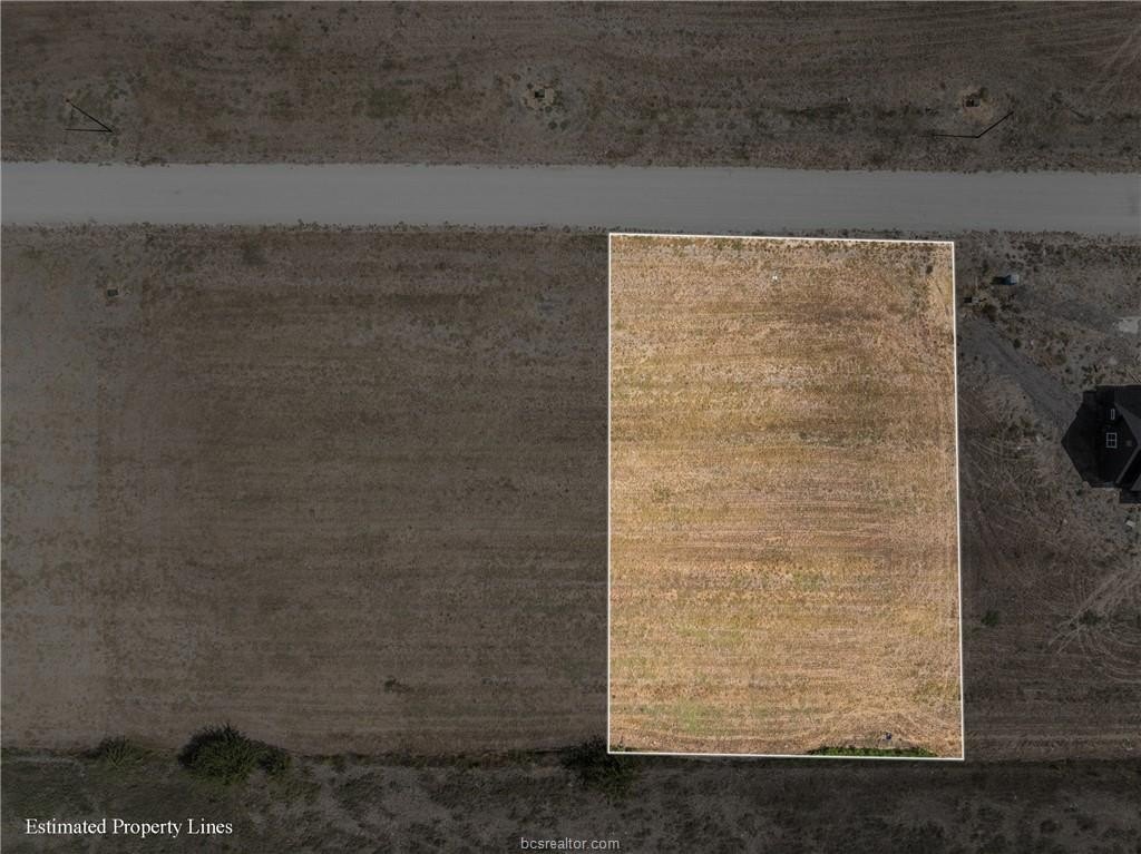 Picture 3