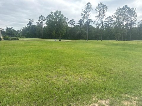 Land, Springfield, LA