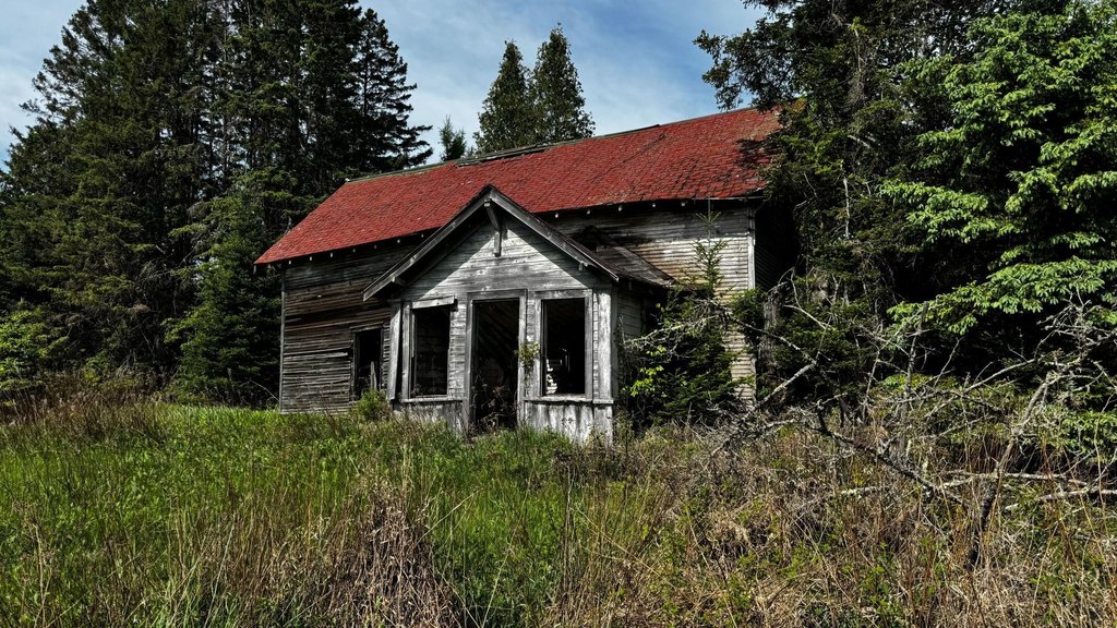 Picture 6