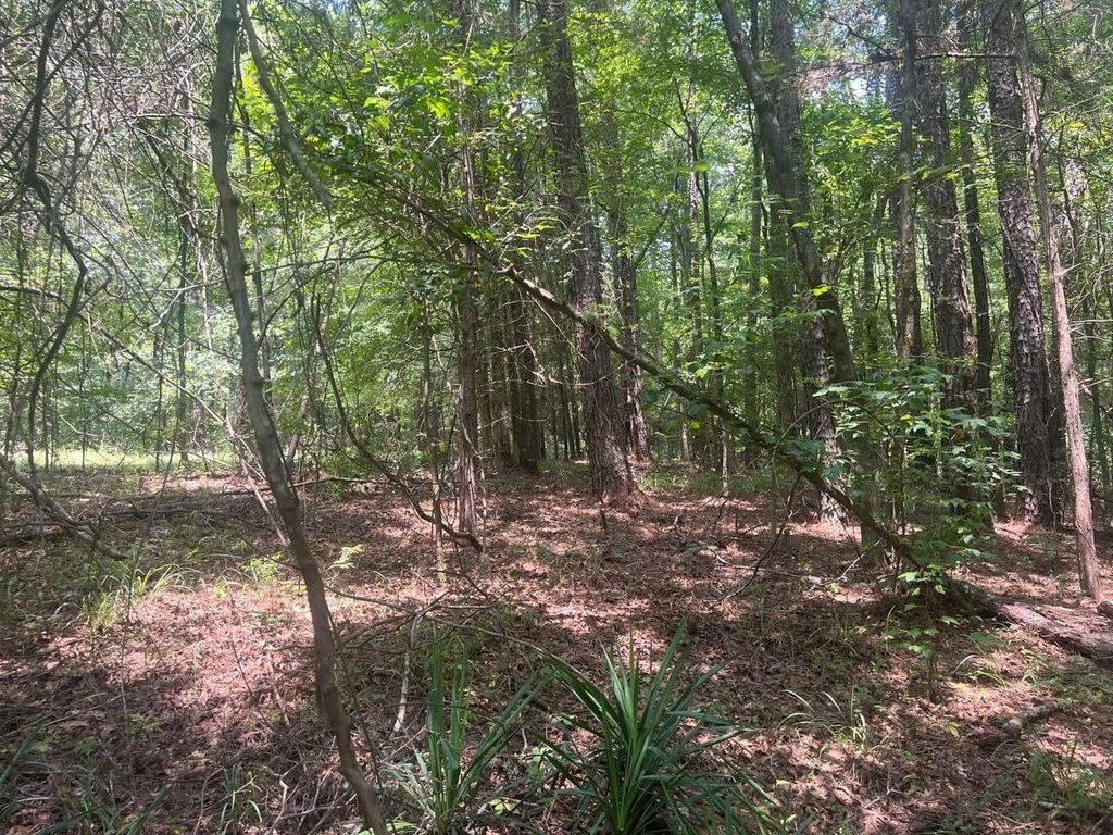 Picture 21