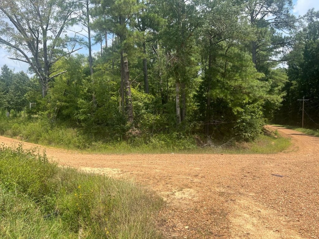 Picture 12