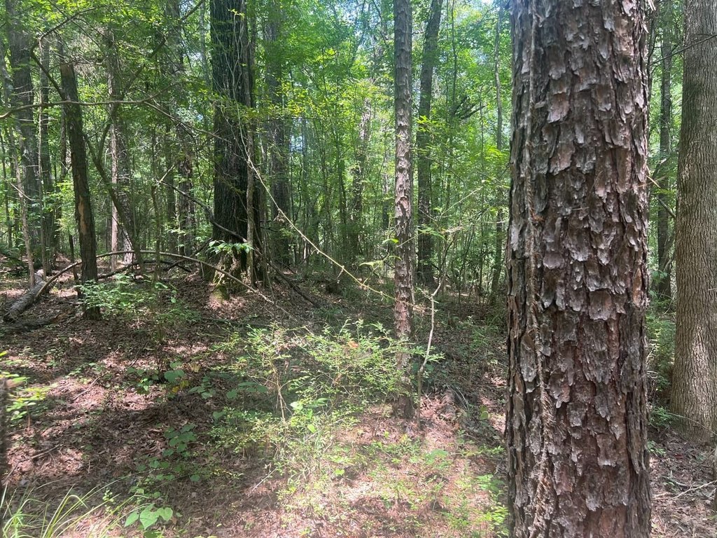 Picture 23