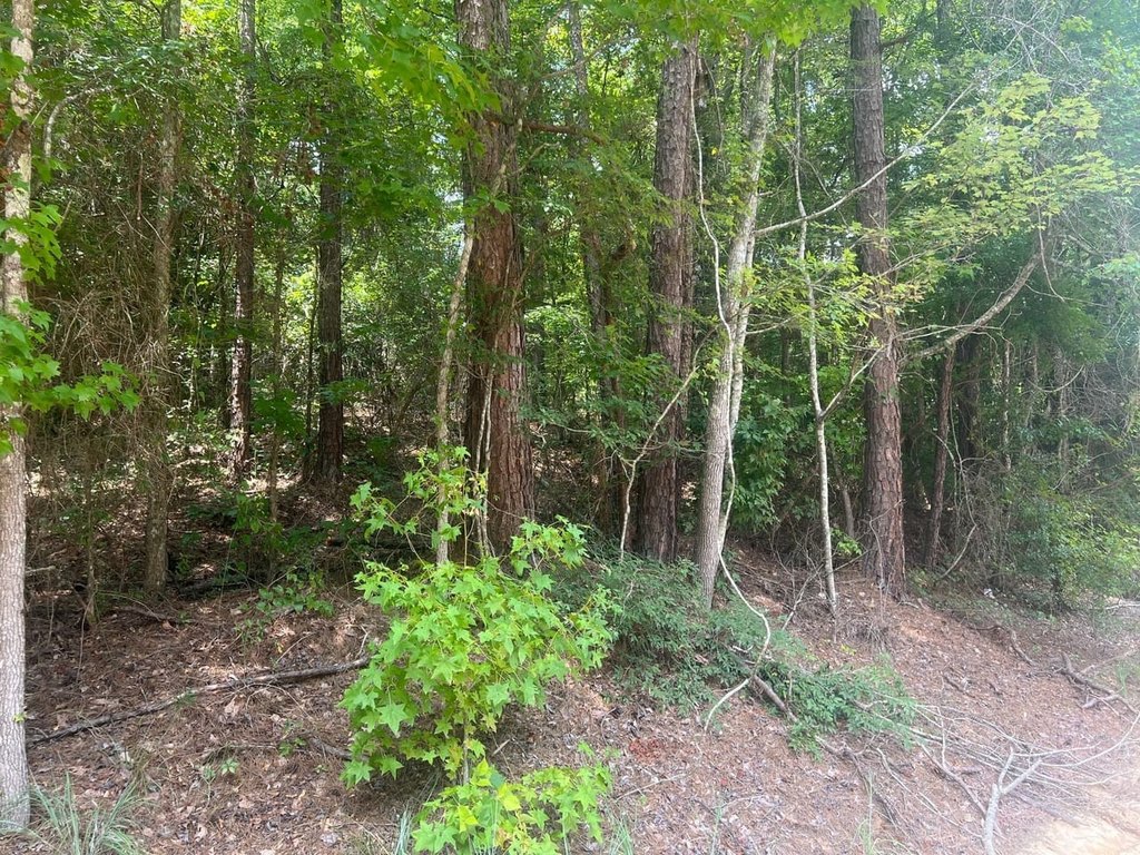 Picture 6