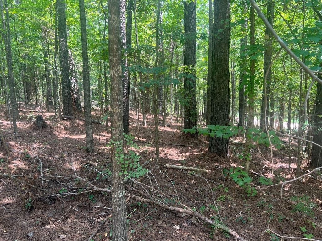 Picture 16