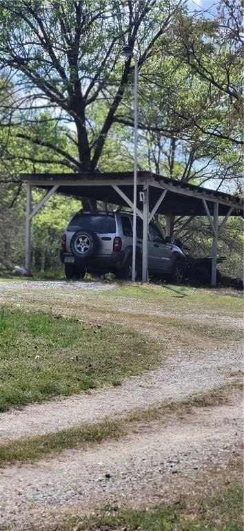 Picture 5