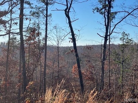 Wooded Acreage Near National Forest