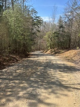 Wooded Lot with Mountain Views
