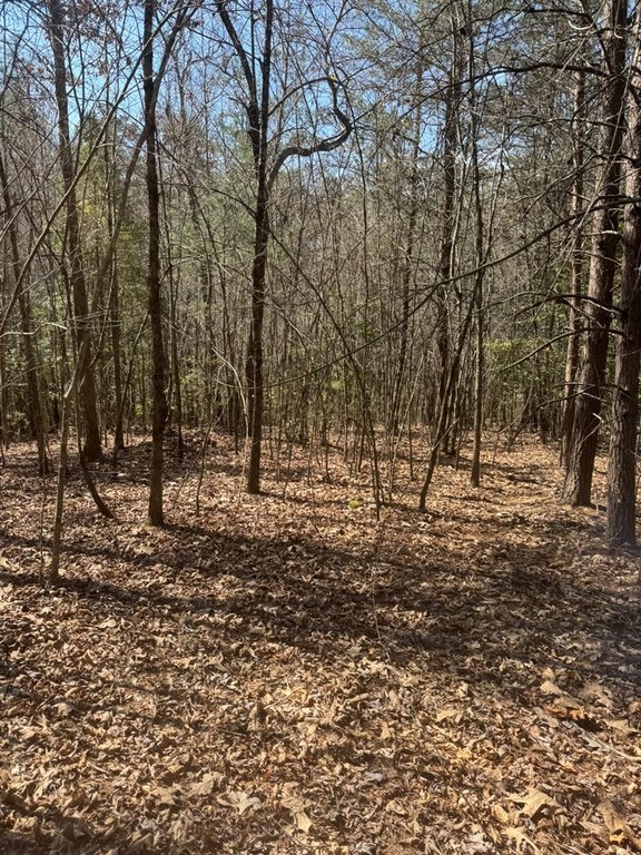 Picture 8