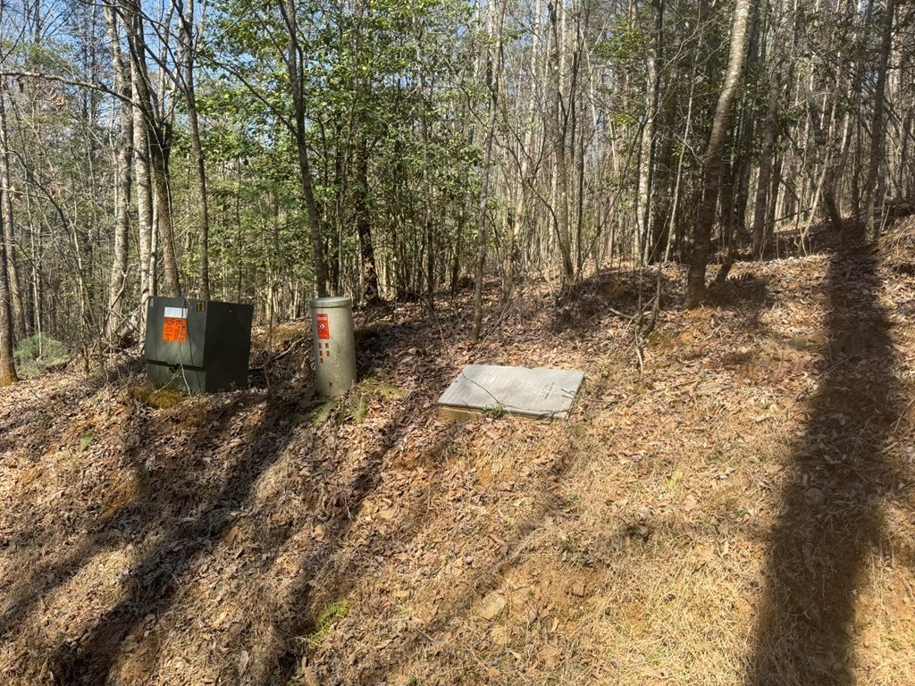Picture 3