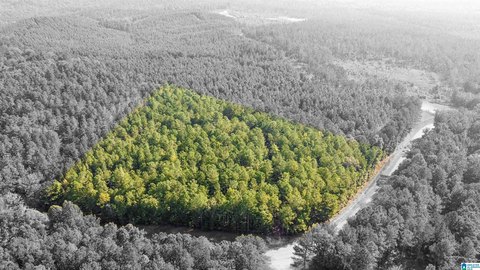 Pell City Wooded Acreage