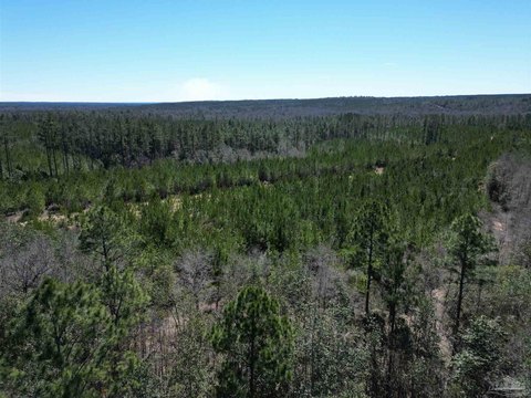 25 Acres Timbered Land Atmore