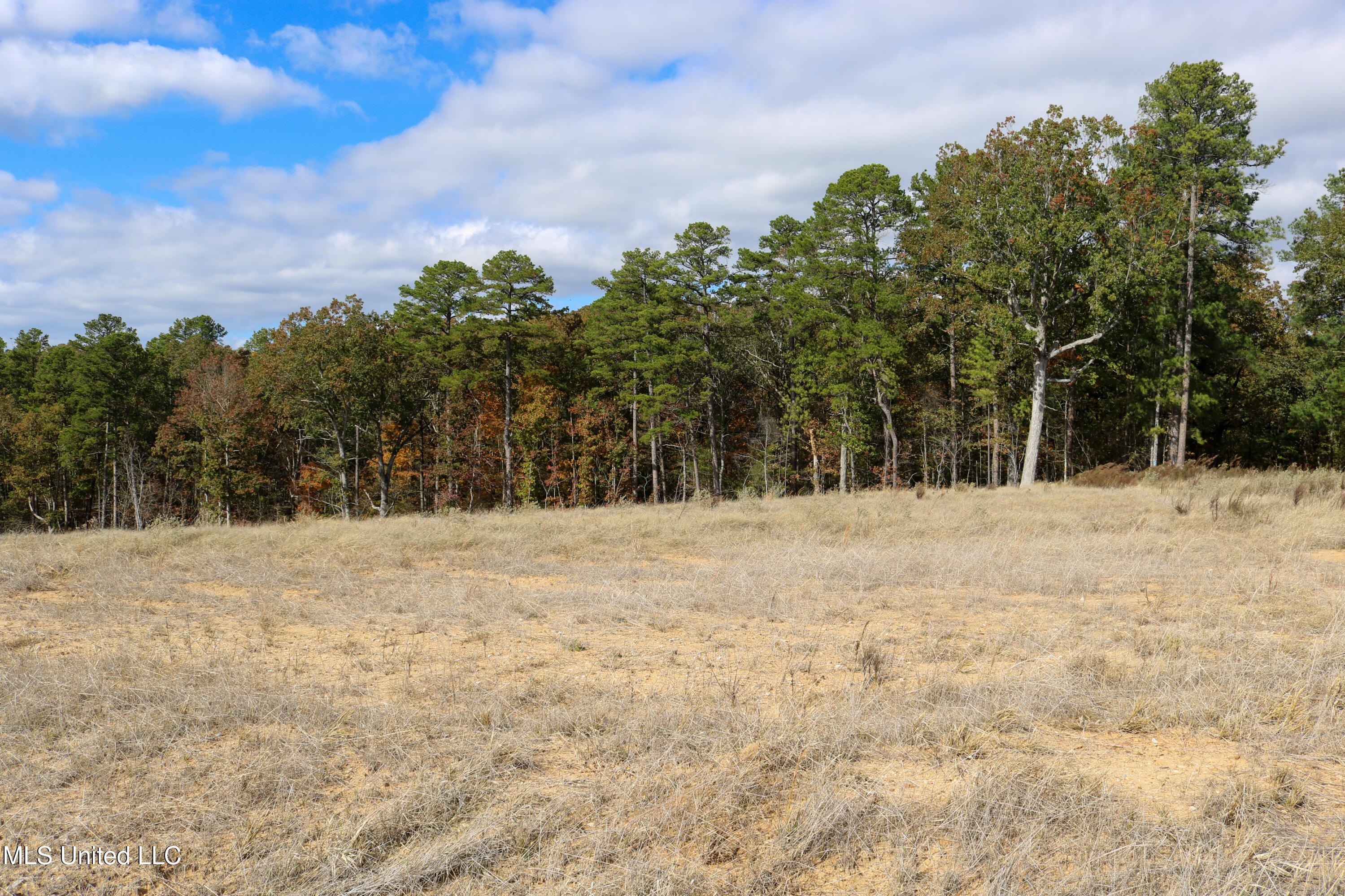 Grenada Lake Area Land