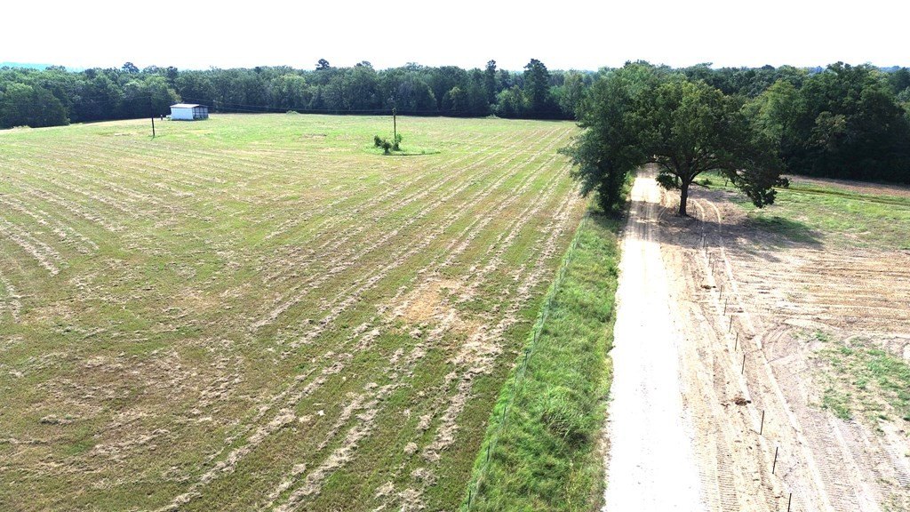 Picture 17