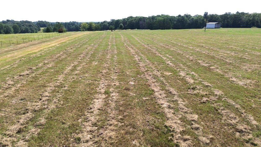 Picture 14