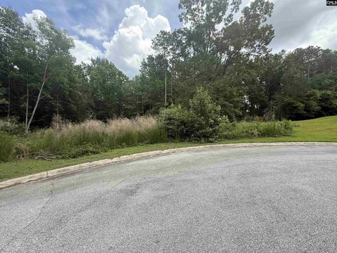 Residential Lot in Blythewood, SC