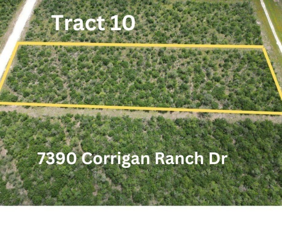 Skidmore Land Tract For Sale