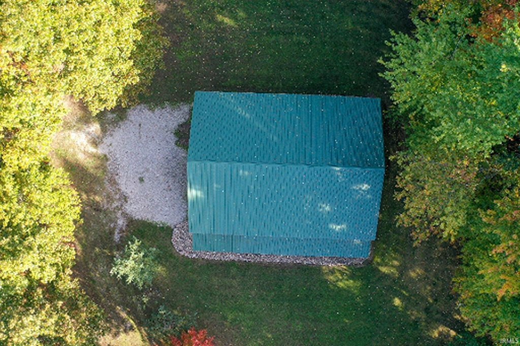 Picture 5