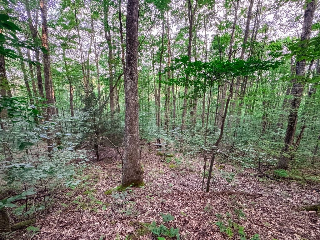 Picture 41