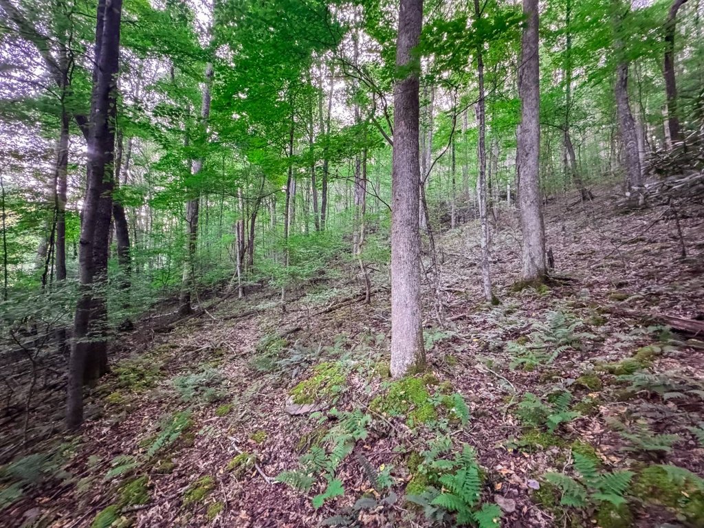 Picture 14