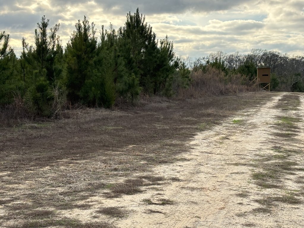 Picture 3
