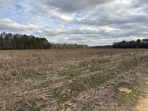 Multi-Use Agricultural Land Tract