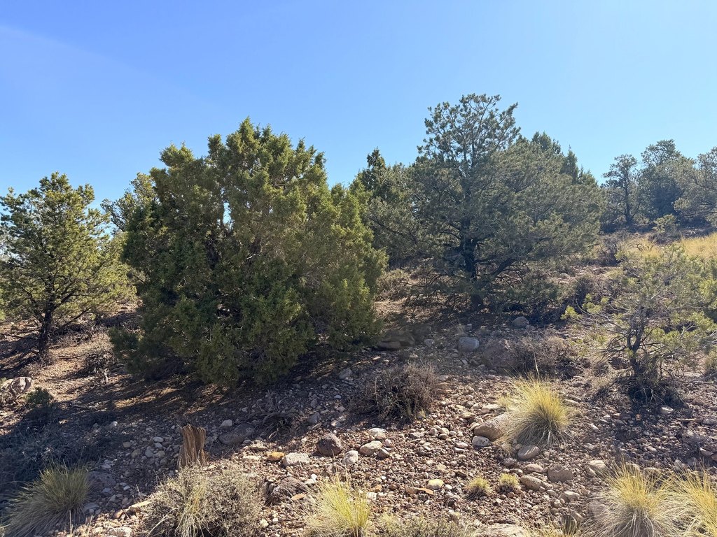 Picture 18