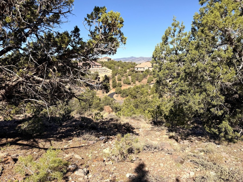 Picture 26