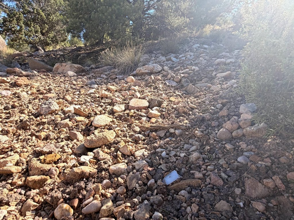 Picture 10