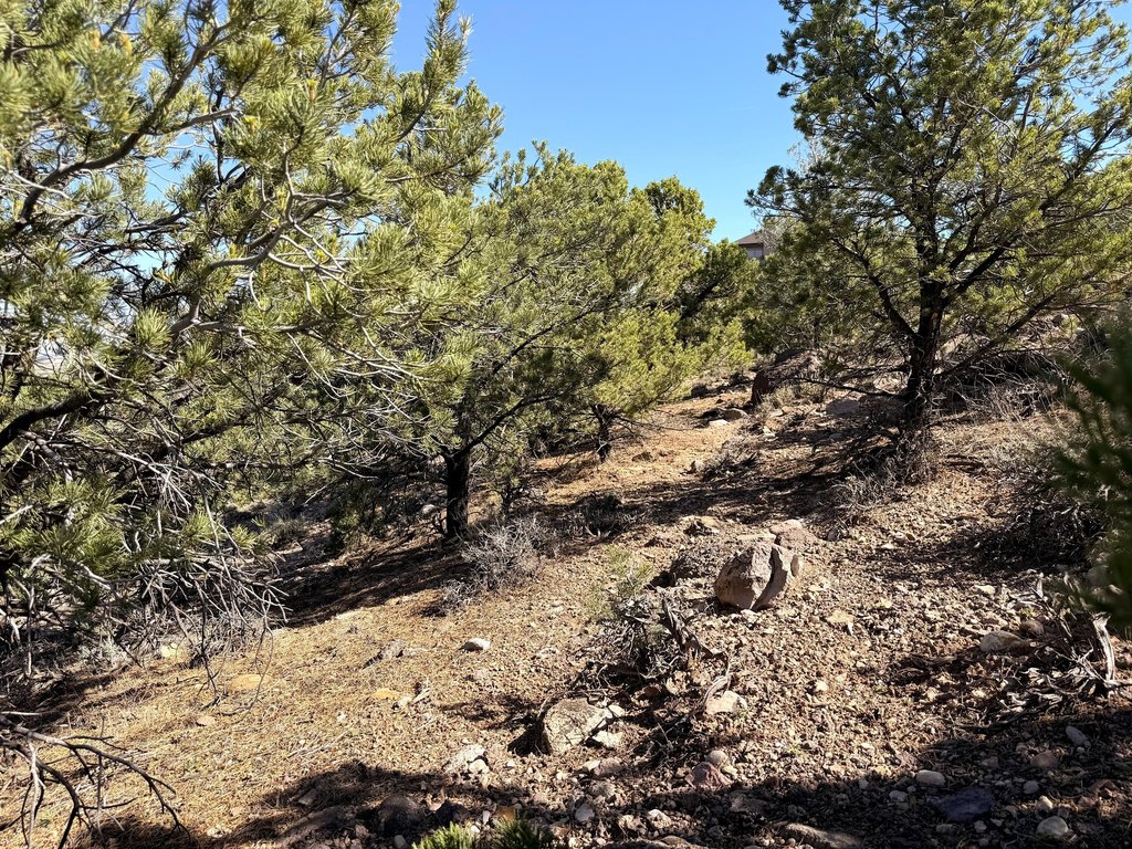 Picture 19