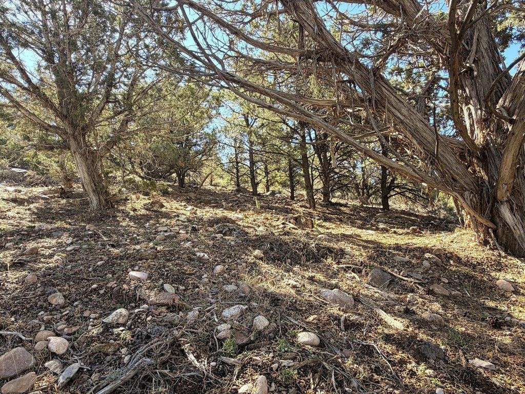 Picture 30