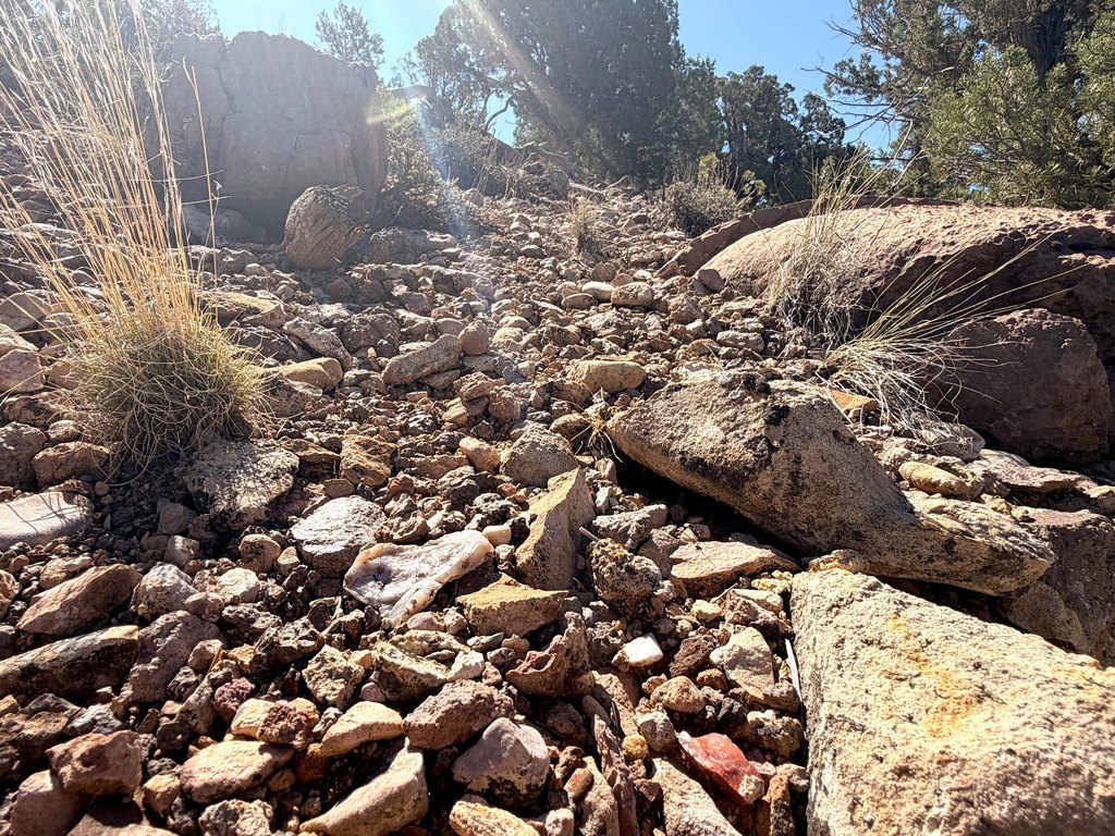 Picture 27