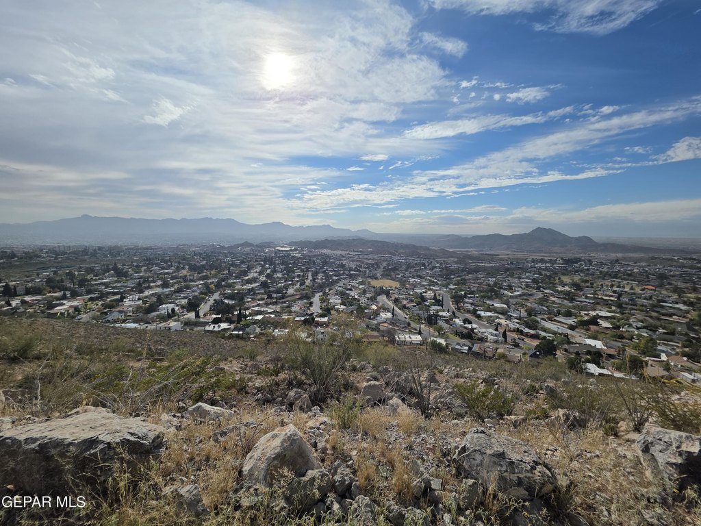 Picture 4