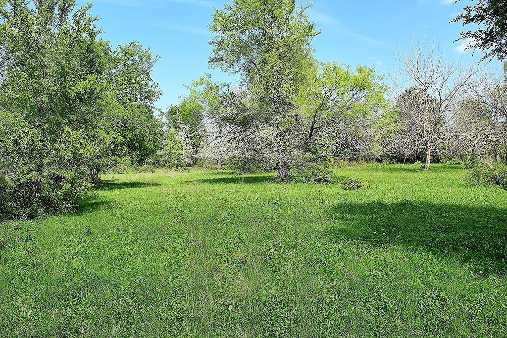 Picture 14