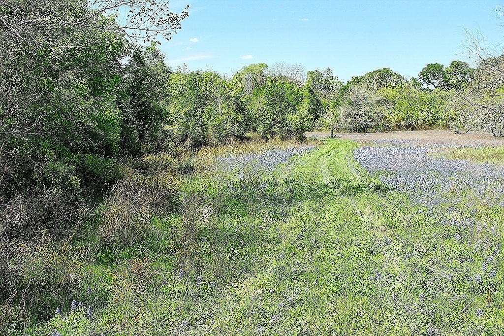 Picture 11