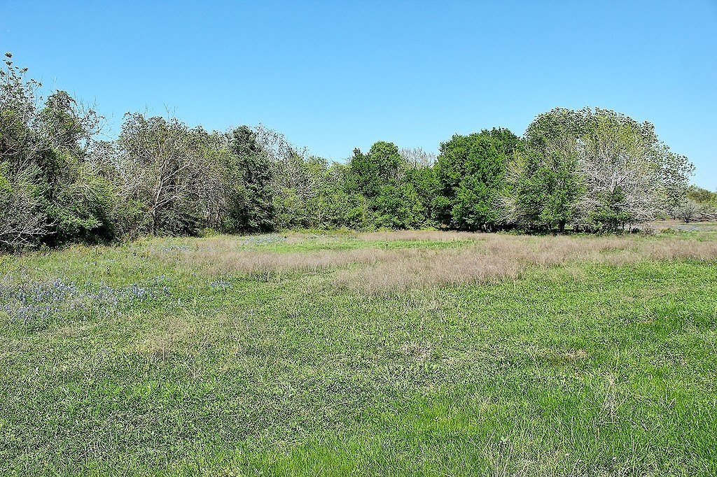 Picture 16