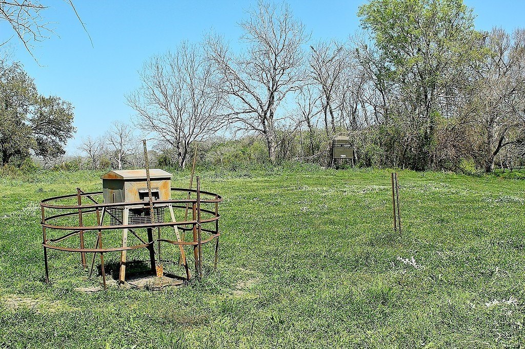 Picture 15