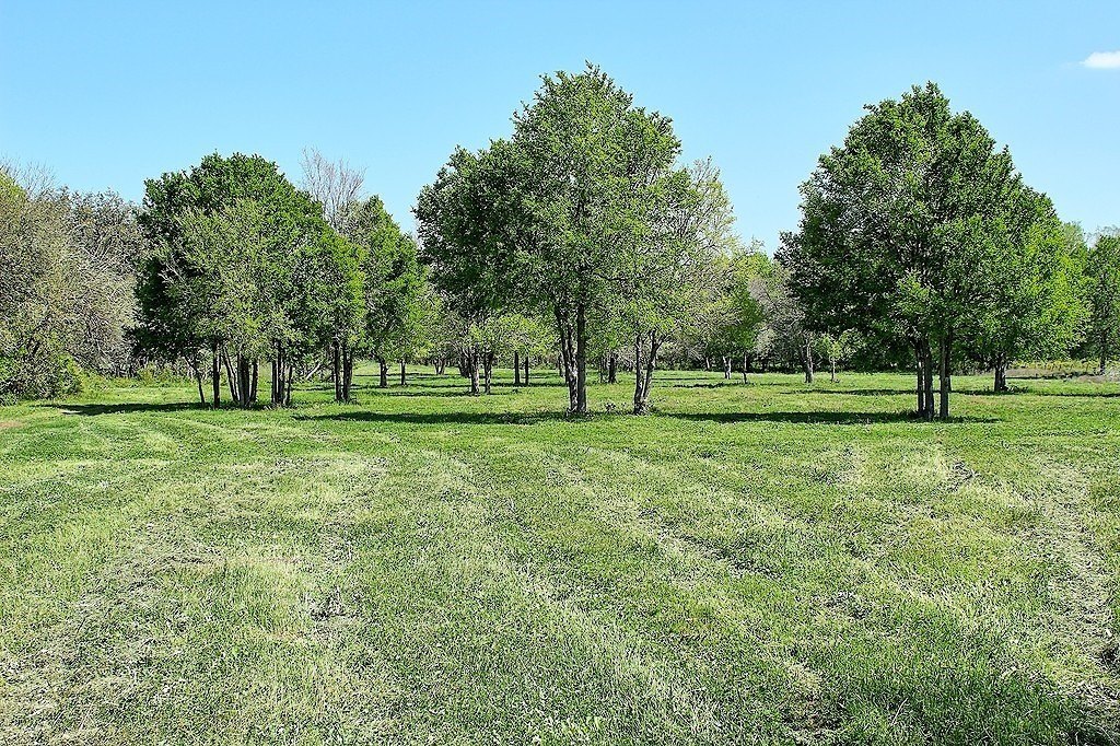 Picture 12