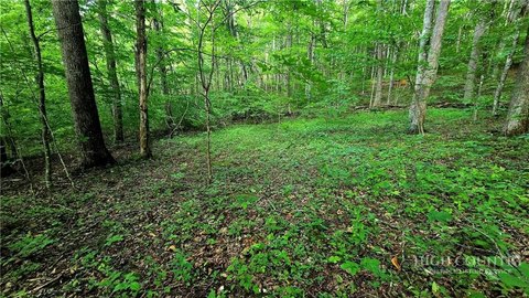 LAND - Todd, NC