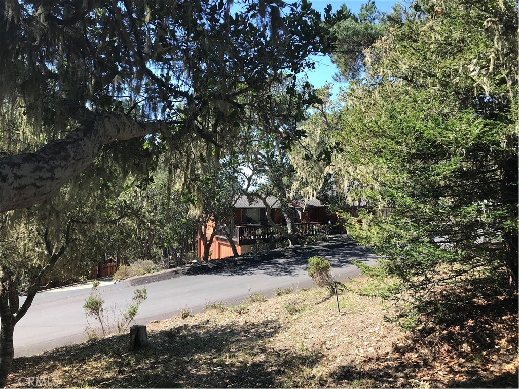 Picture 2