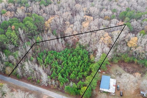 Unrestricted Land in Bibb County